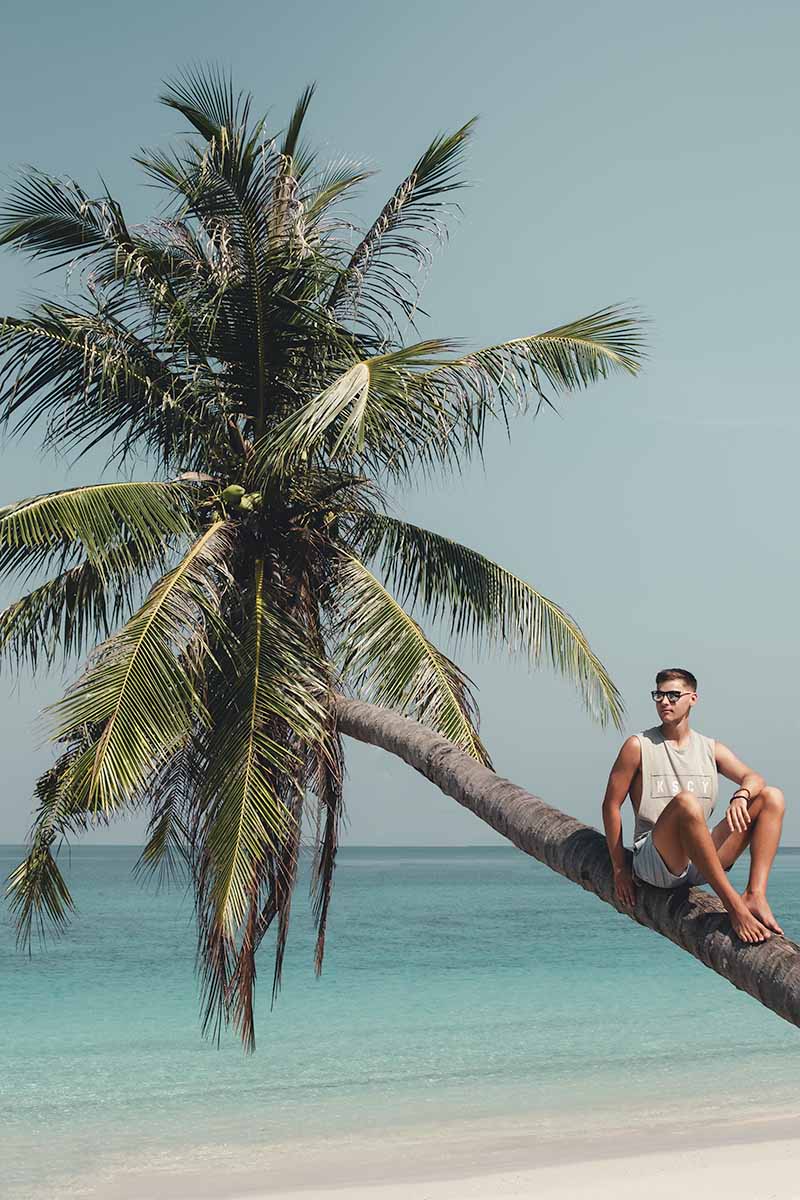 A tourist sitting on the trunk of an overhanging palm tree next to Chaloklum Beach.