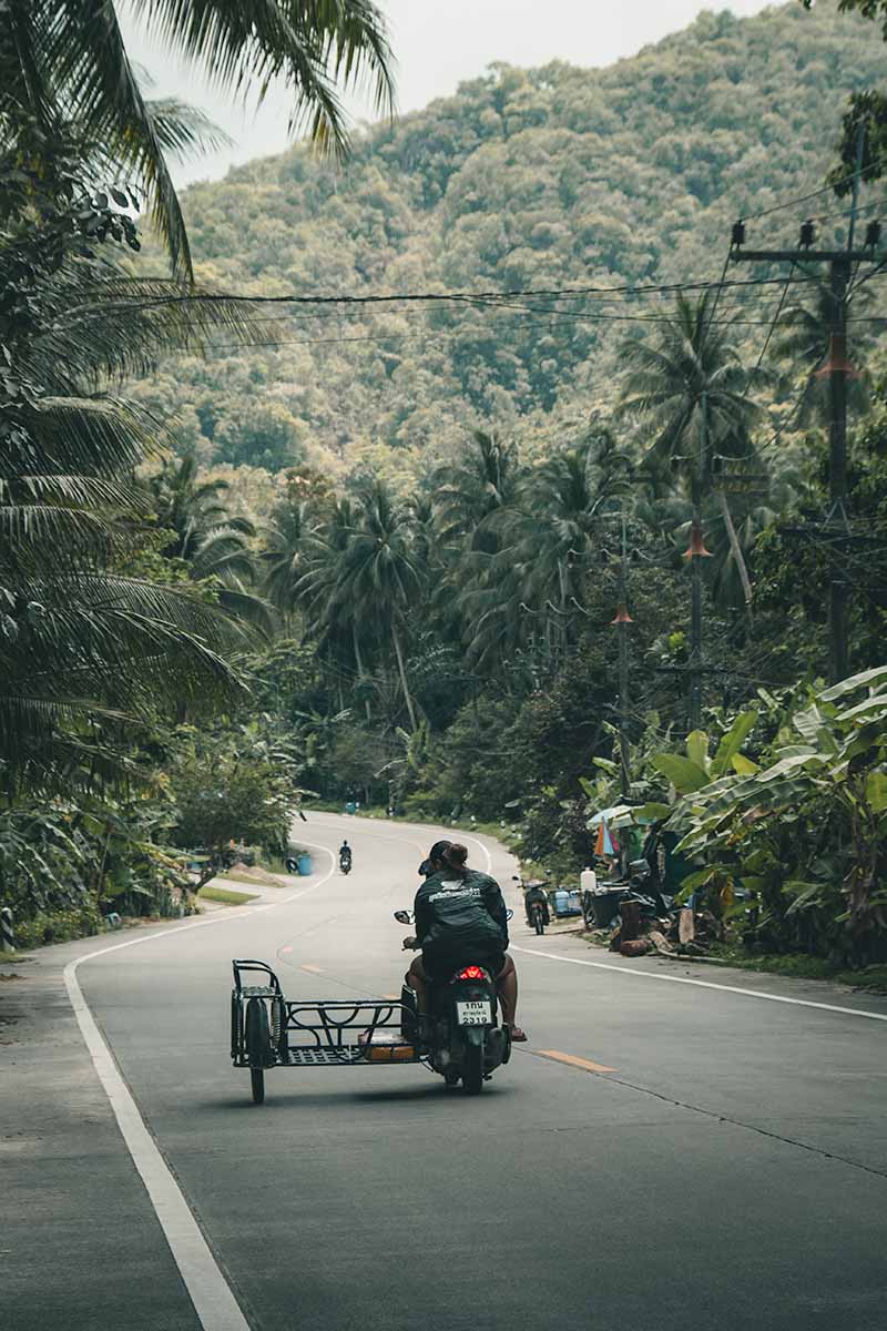 A person riding a motorbike along a winding road lined with palm trees.