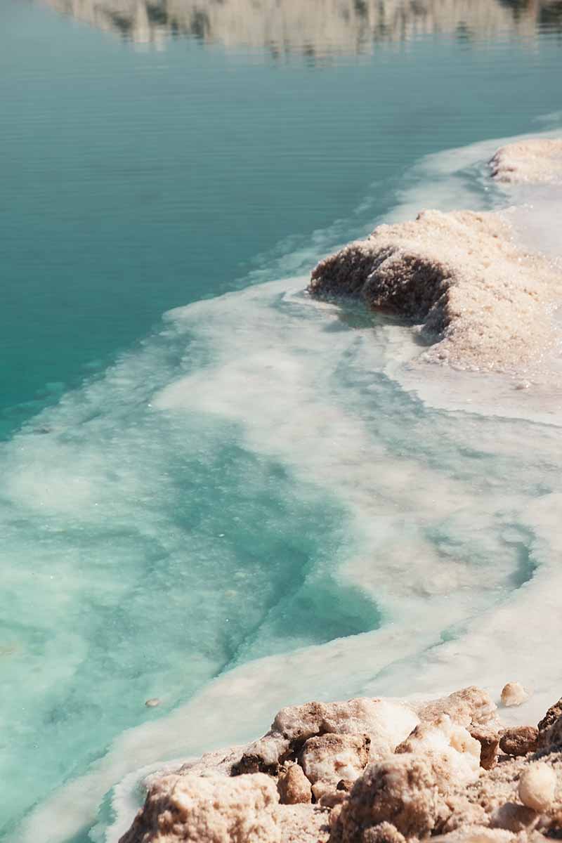 White crystallised rock salt lining the edge of a dark blue salt lake.