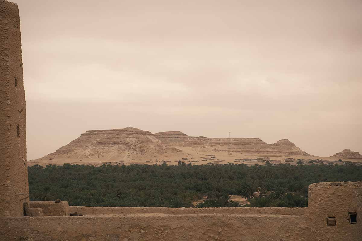 Dakrur Mountain surrounded by a sea of date palm trees in the distance as seen from the Oracle Temple.