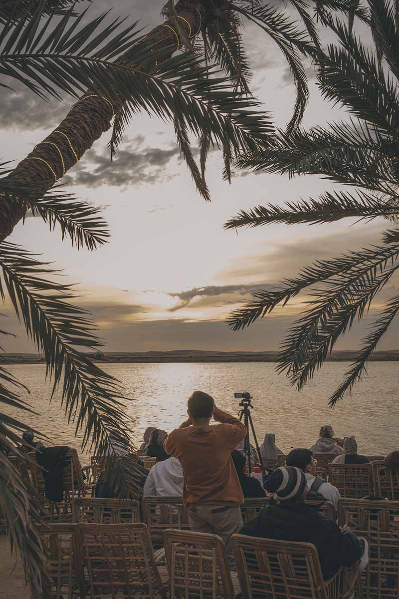 Lined seats of people under overhanging palm trees watching a cloudy sunset.