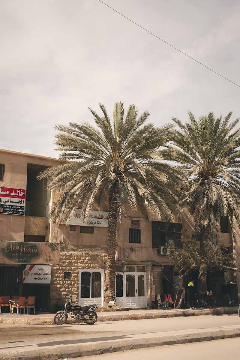 A two lane street lined with terraced buildings, a parked motorcycle and two date palm trees in Siwa's town centre.