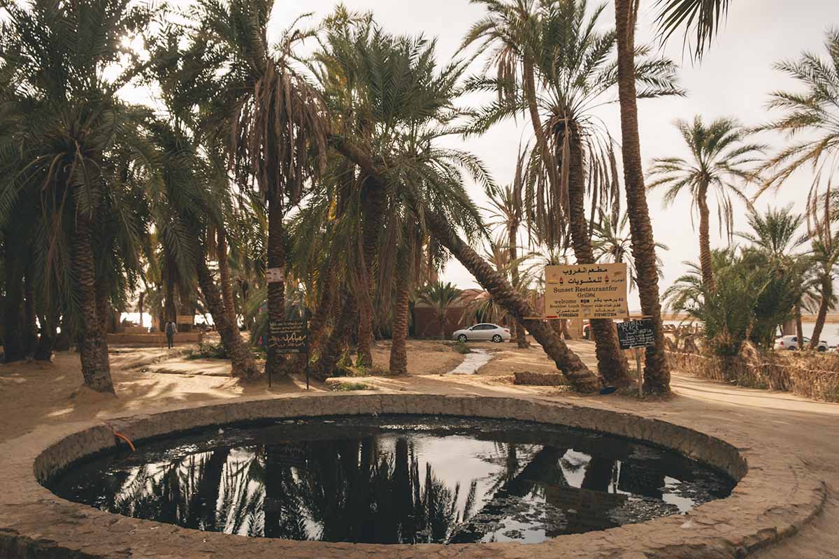 A circular natural spring surrounded by a dusty road and pal trees.