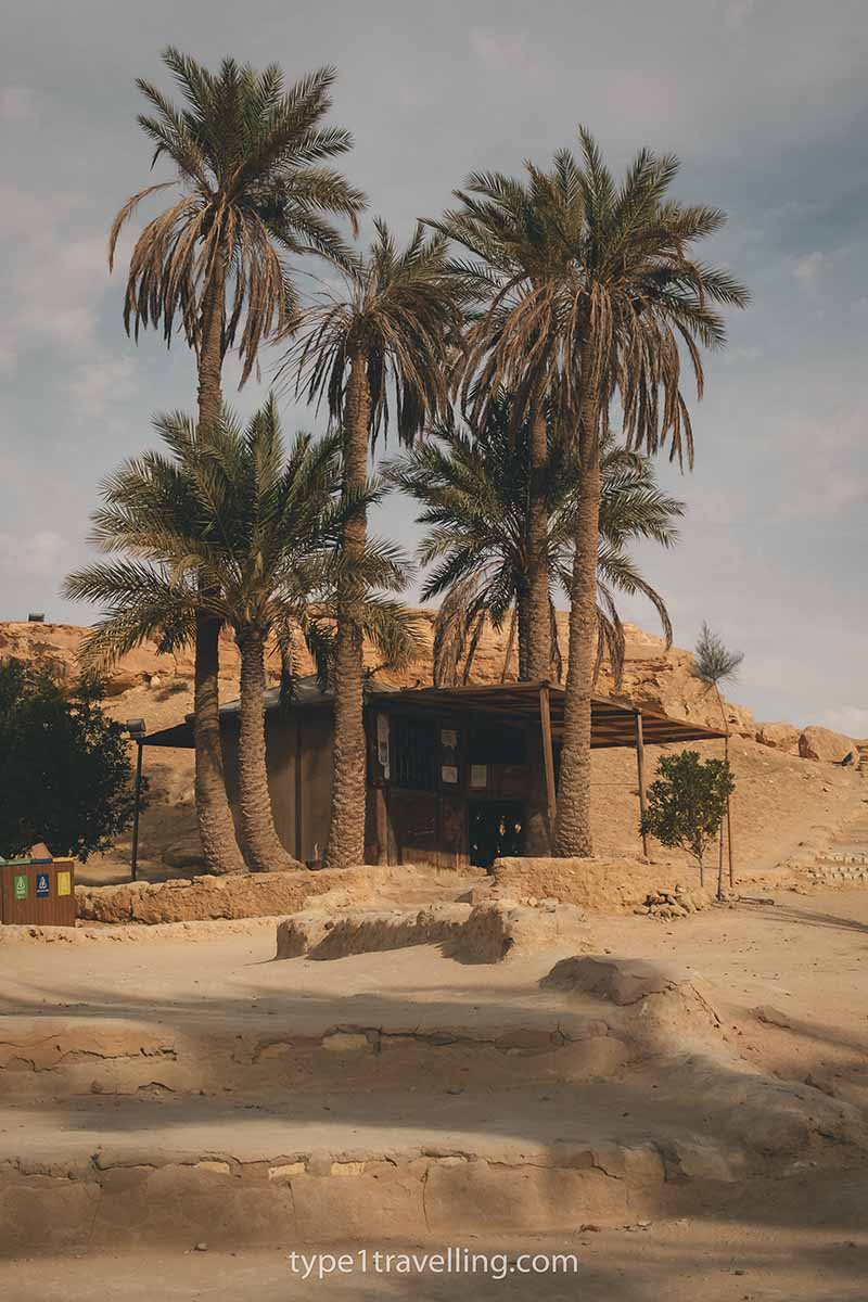 The ticket office of Gabal al Mawta perched under a group of date palm trees.