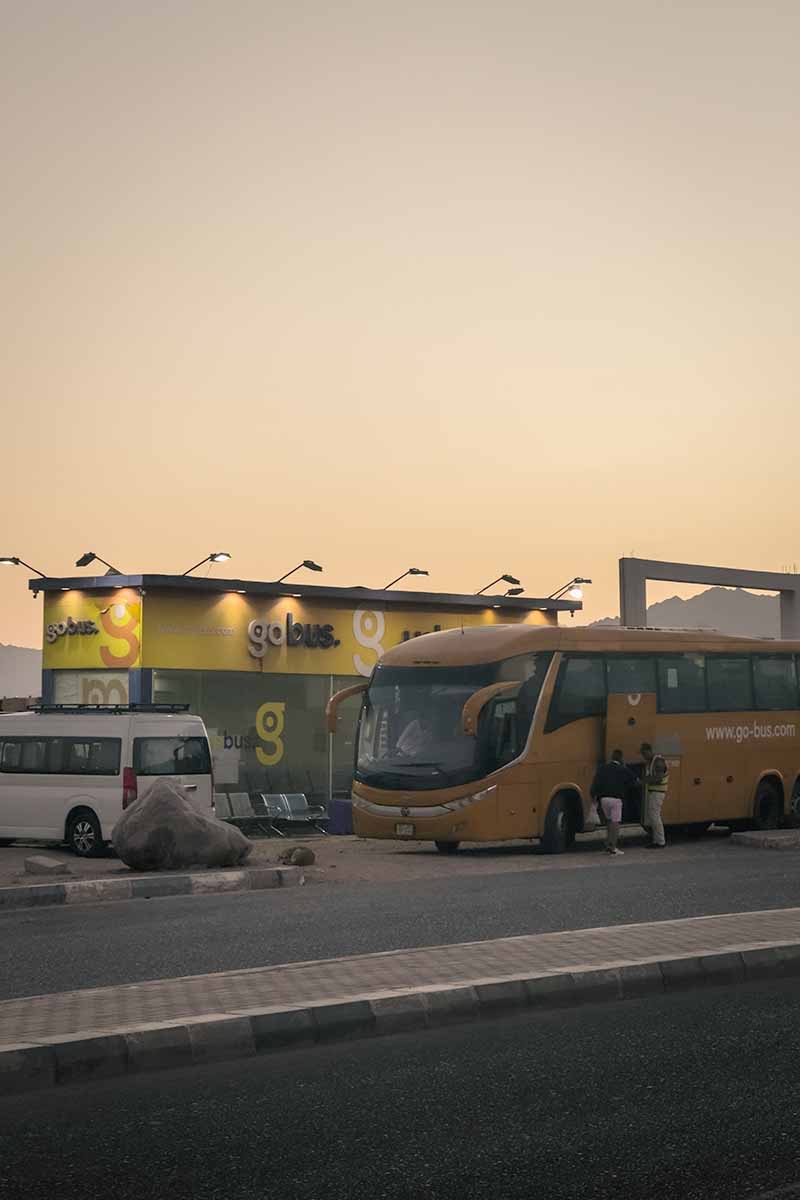 A GoBus coach and minivan parked next to the small GoBus Dahab Boarding Station at sunset.