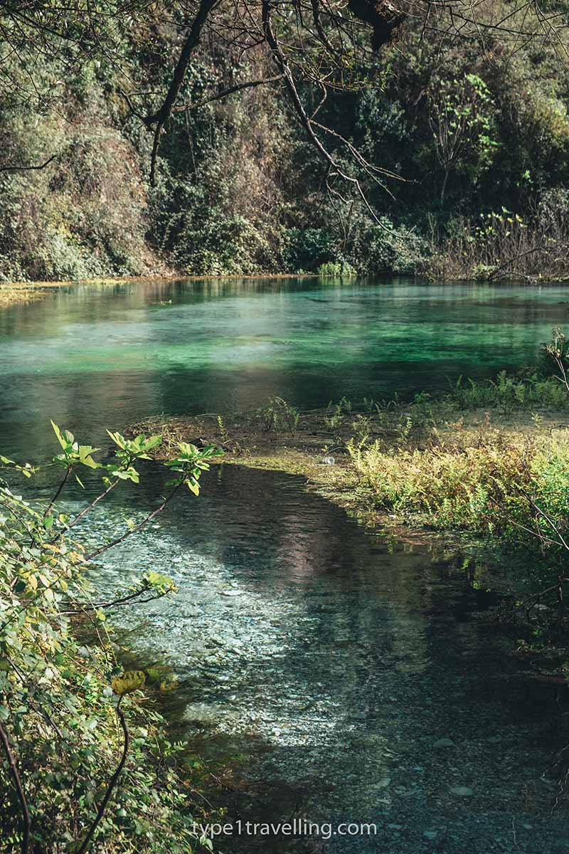 The clear water of the Bistrica River with different shades of green and turquoise.