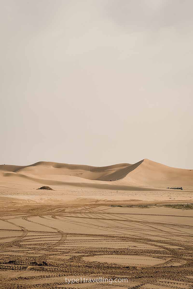 Tyre marks in hard sand with the tall Tifnit sand dunes in the background.