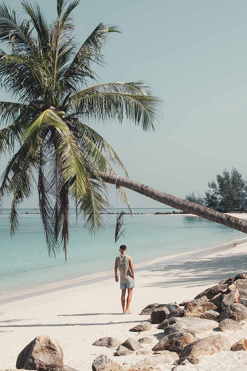 Sam standing on Chaloklum Beach below a palm tree which is overhanging at a very extreme angle.